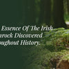 The True Essence Of The Irish Shamrock Discovered Throughout History.